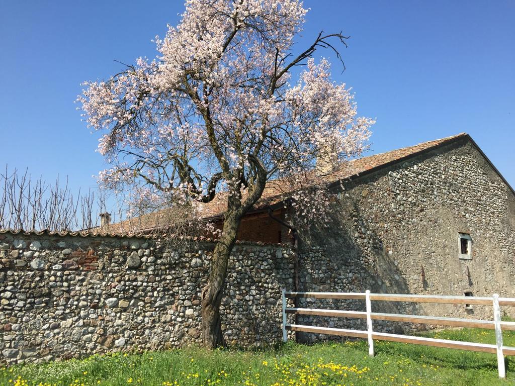 로나토 Antico Cascinale Lombardo B&B 외부 사진
